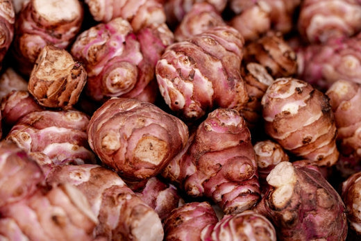 bo-berlin-organics-gesundzeit-blog-insights-inulin-was-ist-das-wissen